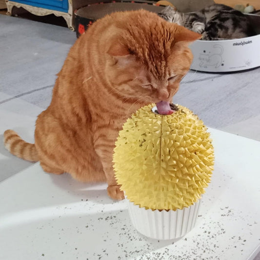 Durian Catnip Feeder & Face Scratcher, Wall Corner Self Groomer