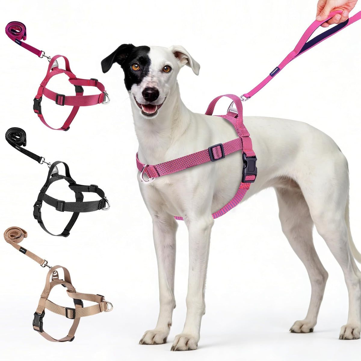 Annchwool Dog Harness and Dog Leash Set,Belly & Chest Adjustable,Pink,L