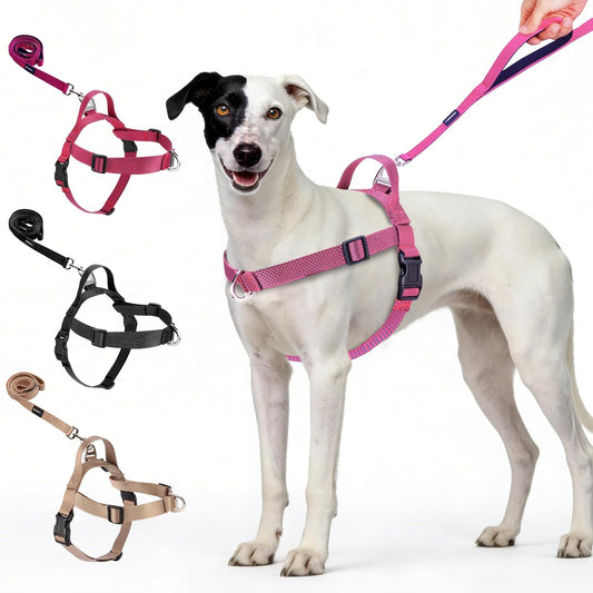 Annchwool Dog Harness and Dog Leash Set,Belly & Chest Adjustable,Pink,L