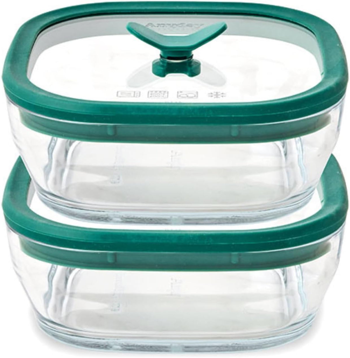 Anyday 2 Pack 2.5 Cup Glass Lunch Containers (Kale)
