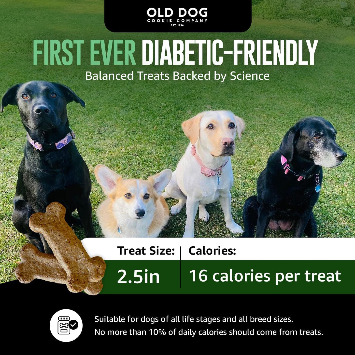 Old Dog Cookie Company All Natural Diabetic Dog Treats – Vet Approved Dog Snacks | Best Healthy Chews for Dogs, Top Treat for Dogs | Low Glycemic, Supports Healthy Blood Sugar | 10 Oz