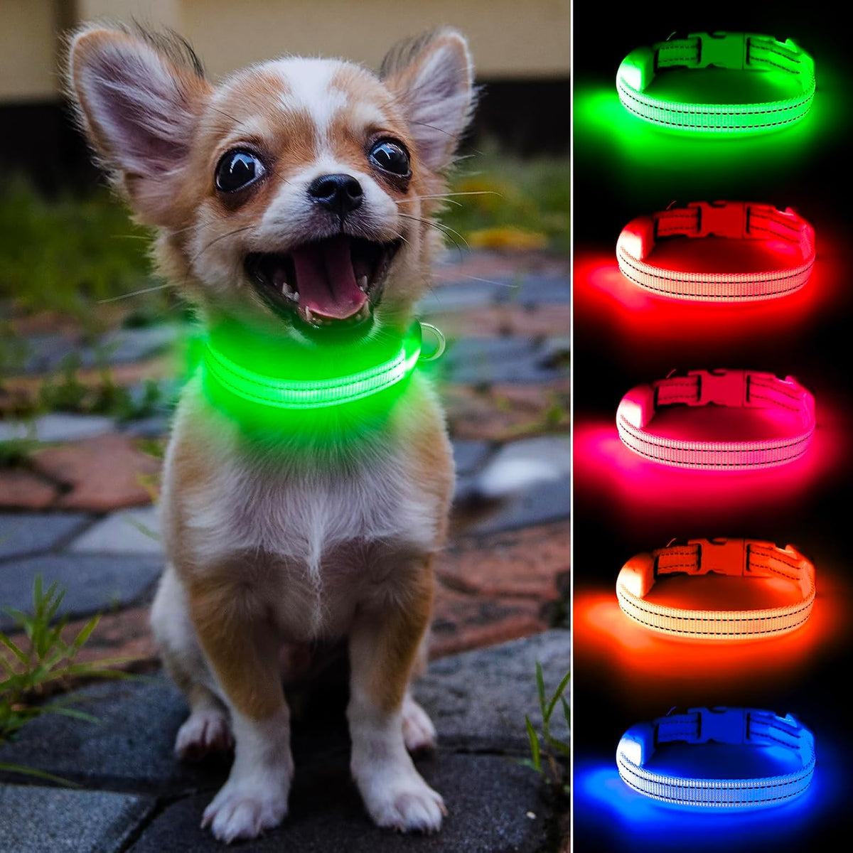 Light up Collar for Small Dogs Cats - Reflective LED Dog Collar Glow in the Dark, Safety Pet Collar Lights for Nighttime Walking (Green)