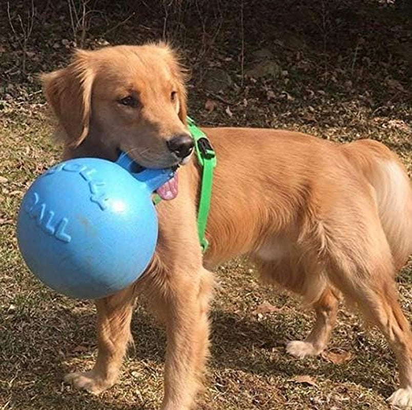 Jolly Pets Tug-N-Toss Heavy Duty Dog Toy Ball with Handle, 8 Inches/Large, Blueberry