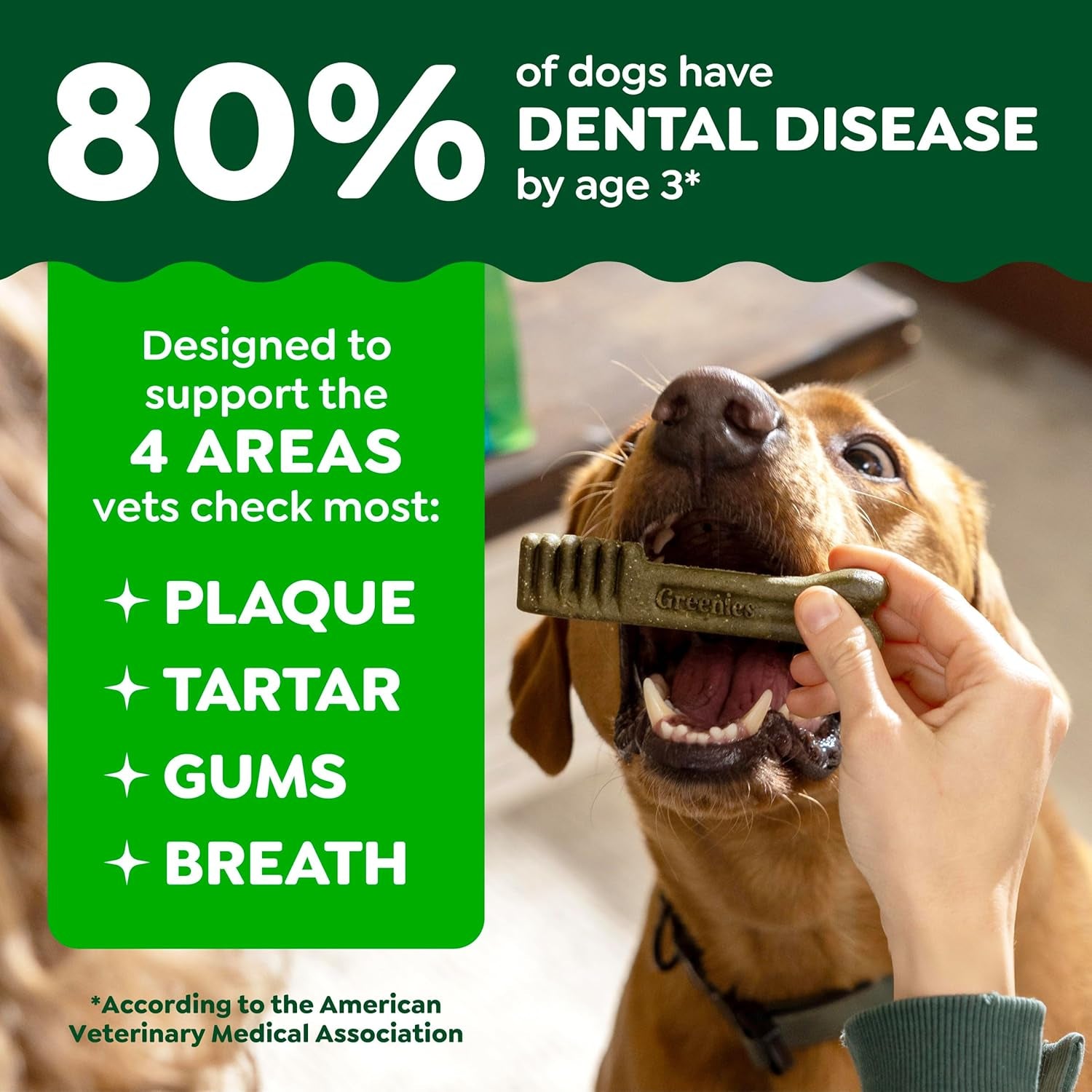 Greenies Veterinarian-Recommended Adult Natural Dental Dog Treats Regular Size, Dog Dental Chews, Original Flavor, 36 Oz. Pack, 36 Count
