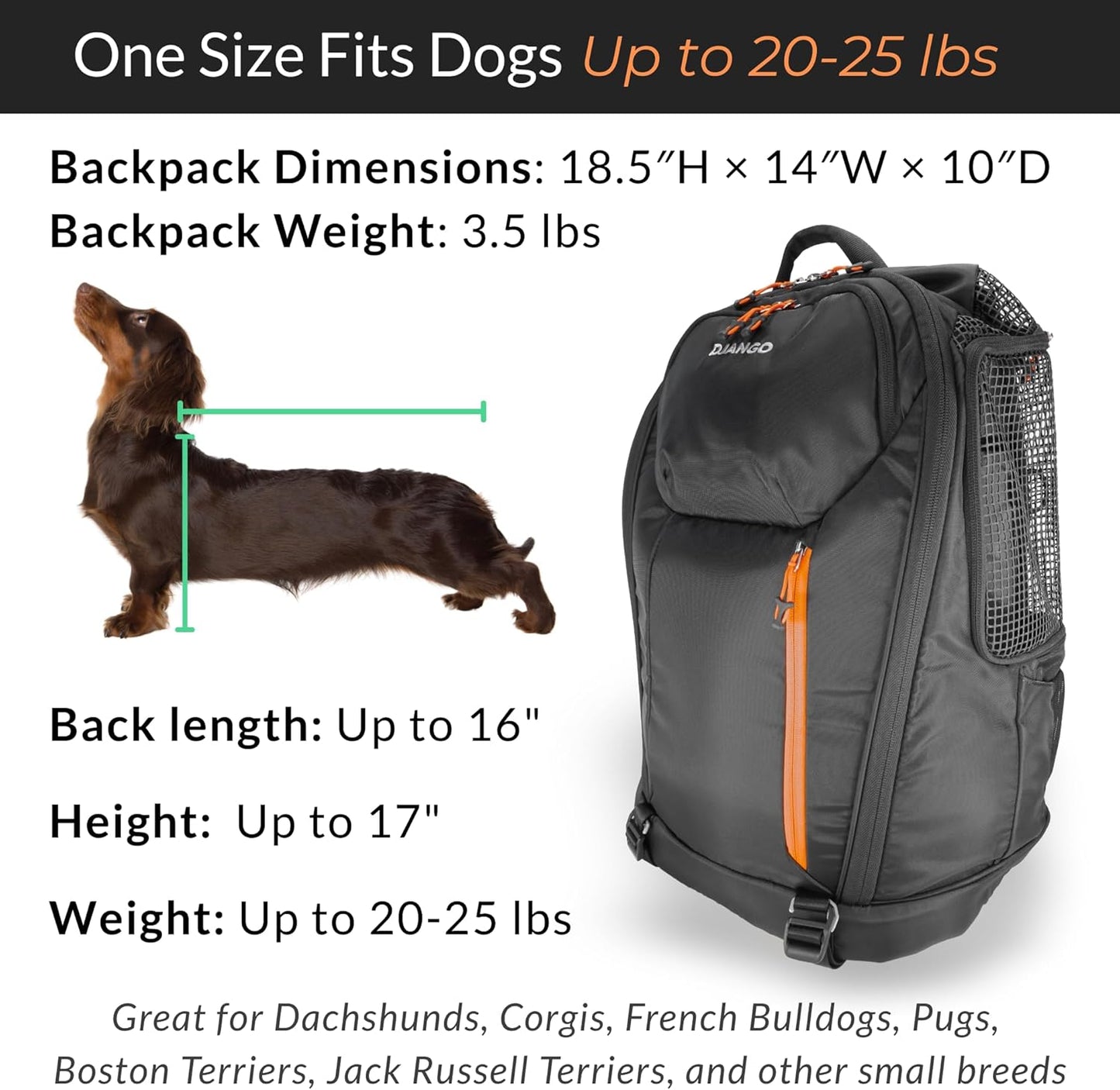 DJANGO Dog Carrier Backpack – Pet Backpack for Small Dogs & Cats with Hip Belt, Laptop Pocket & Water Bottle Sleeve – Travel Dog & Cat Carrier for Hiking, Camping & Commuting (Midnight Black)