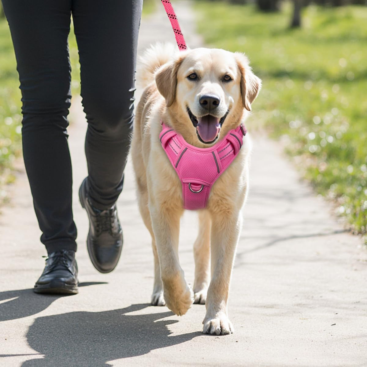 BARKBAY Dog Harness for Large Dogs No Pull Dog Vest ID Tag Pocket