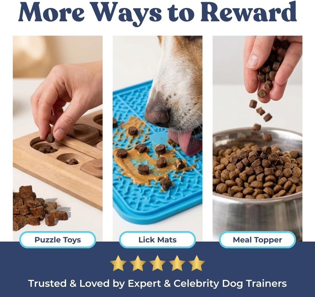 Healthybud Mini Salmon Dog Training Treats – Soft Low Calorie Bites (1 Kcal Each) – 500+ Tiny Rewards for Puppies & Small Dogs – Salmon Oil, Lion’S Mane & Reishi – Grain Free – Made in Canada – 6.5 Oz