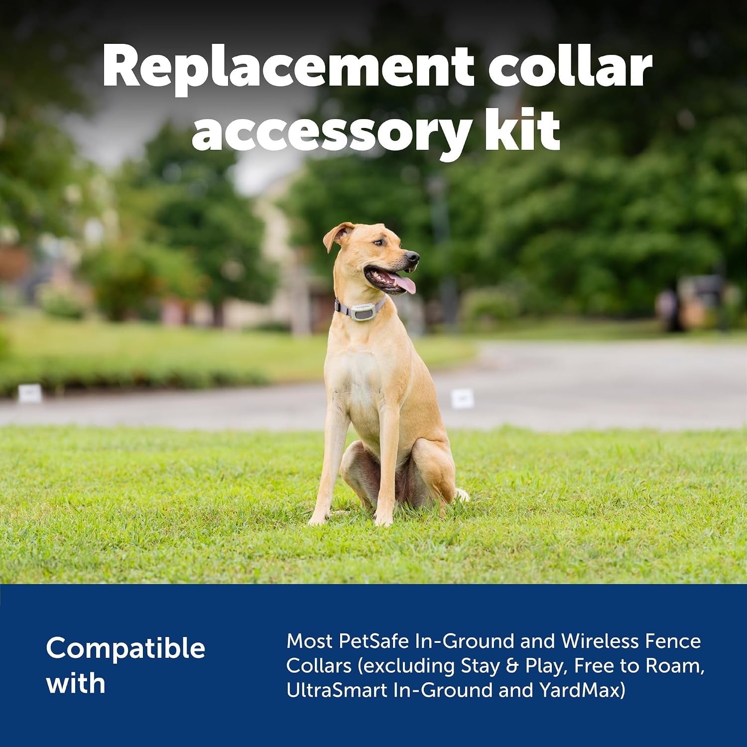 Petsafe Replacement Collar Accessory Kit for In-Ground & Wireless Dog Receiver Collars - Includes Short & Long Contact Points, Level Covers, Hardware from the Parent Company of Invisible Fence Brand