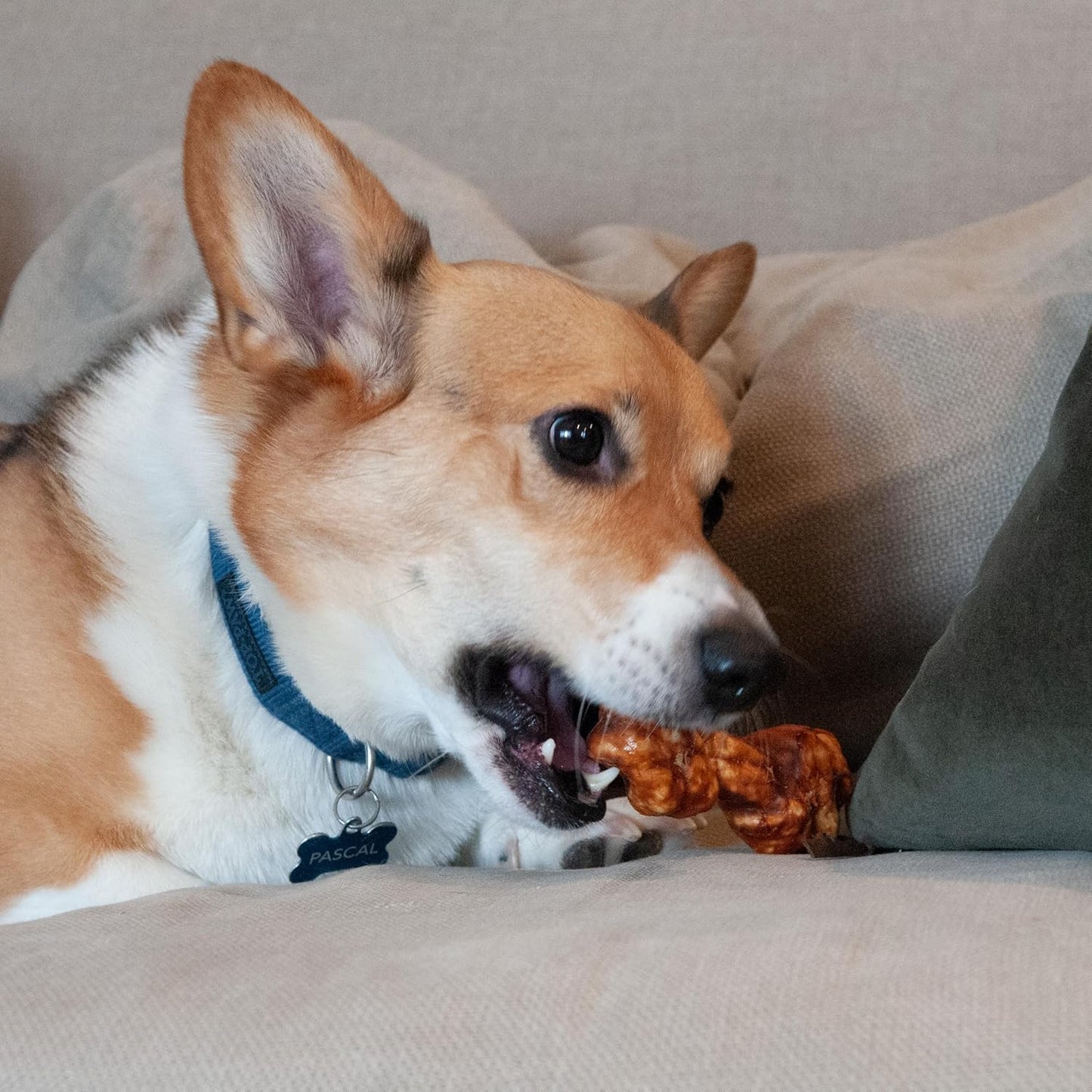 Nothin' to Hide Collagen-Based Dog Chews Small Knotted Bones, Beef Flavor, Easily Digestible, Supports Skin, Coat, Joints & Muscles, for Moderate Chewers under 15Lbs, 4In, 3 Pieces