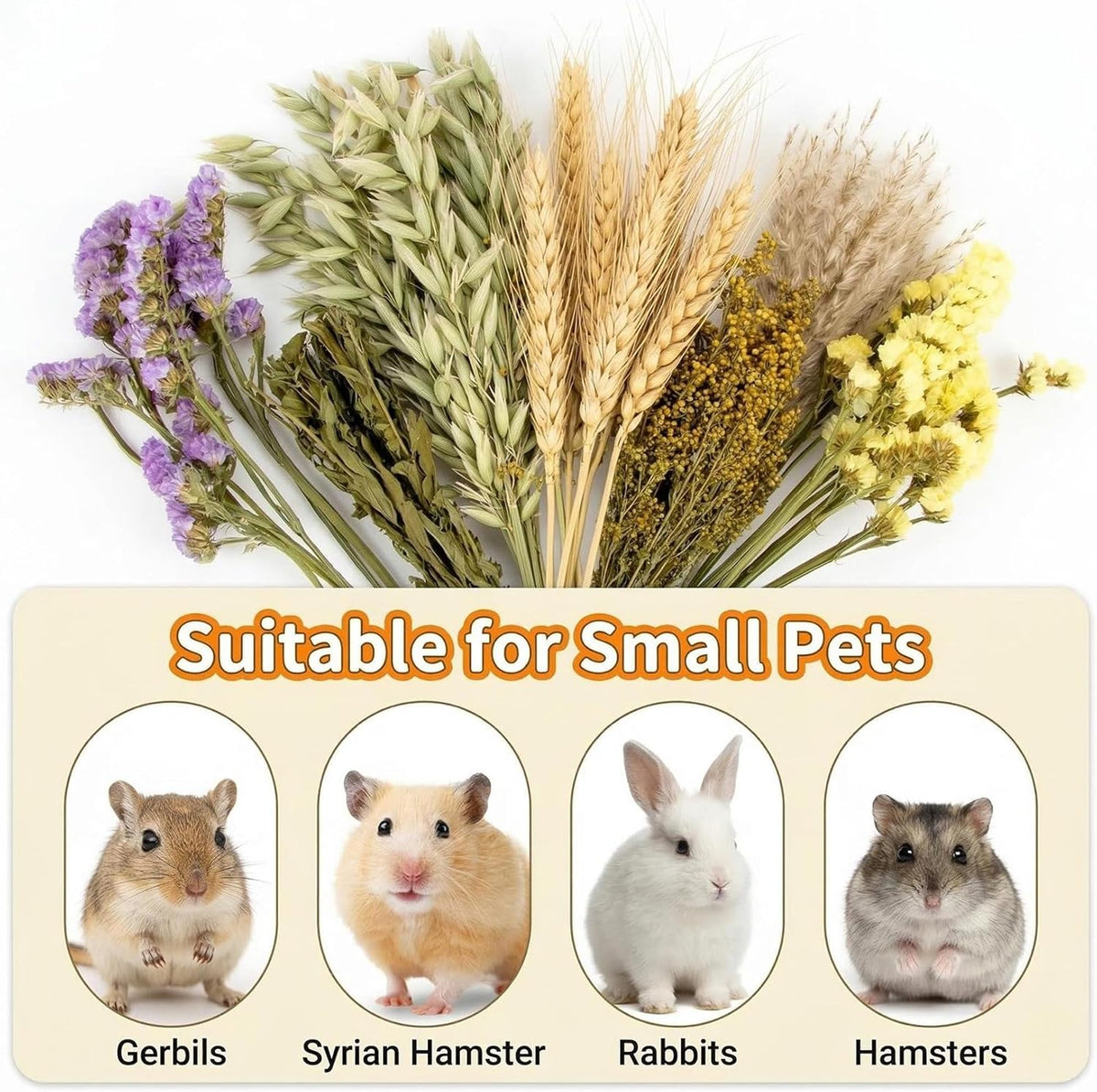 Sukh 42Pcs Hamster Sprays Natural - Sprays & Forage for Small Animals
