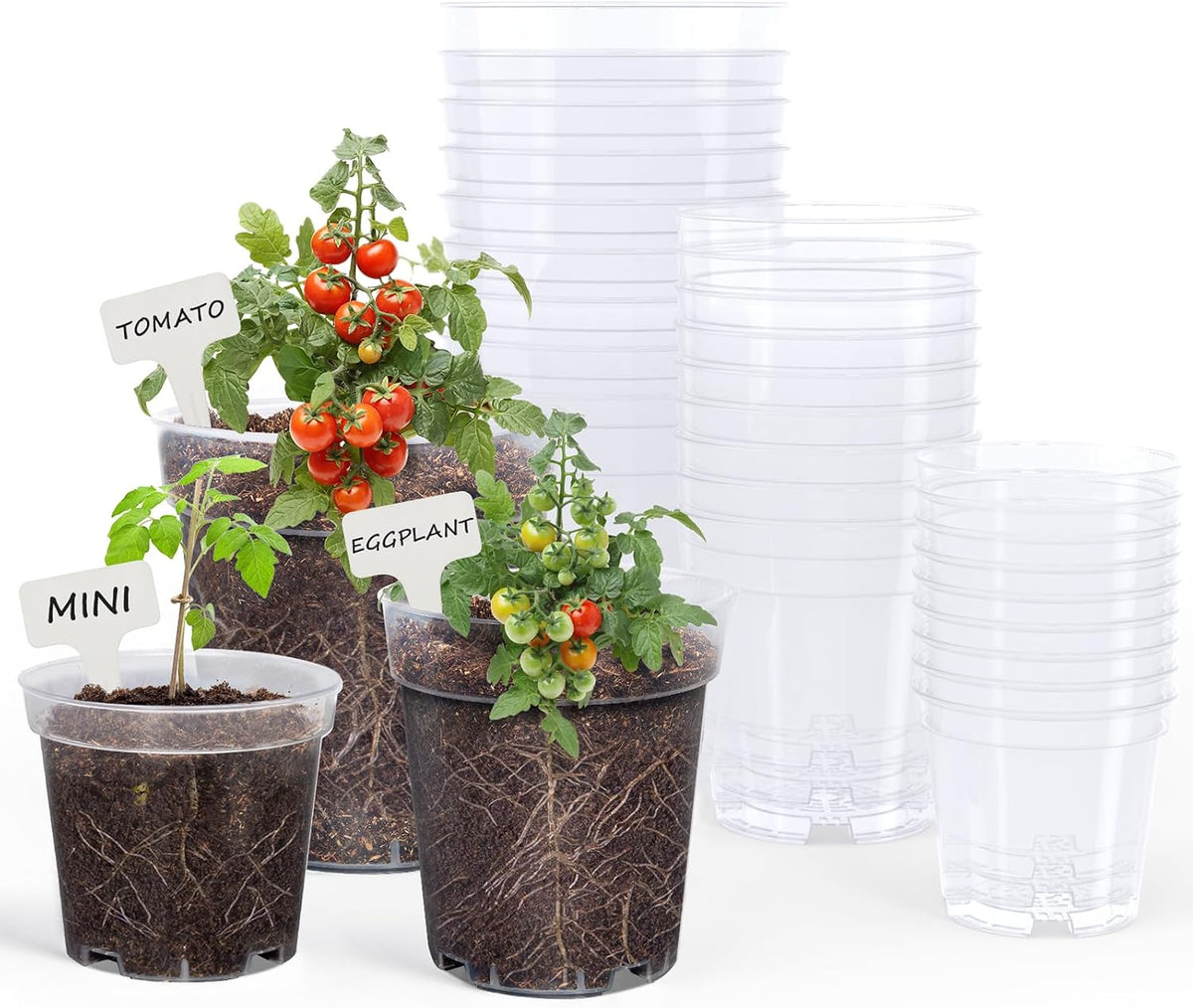 Homenote 4/5/6.7 Inch Transparent Nursery Pots with Drainage Holes (30 Pcs)