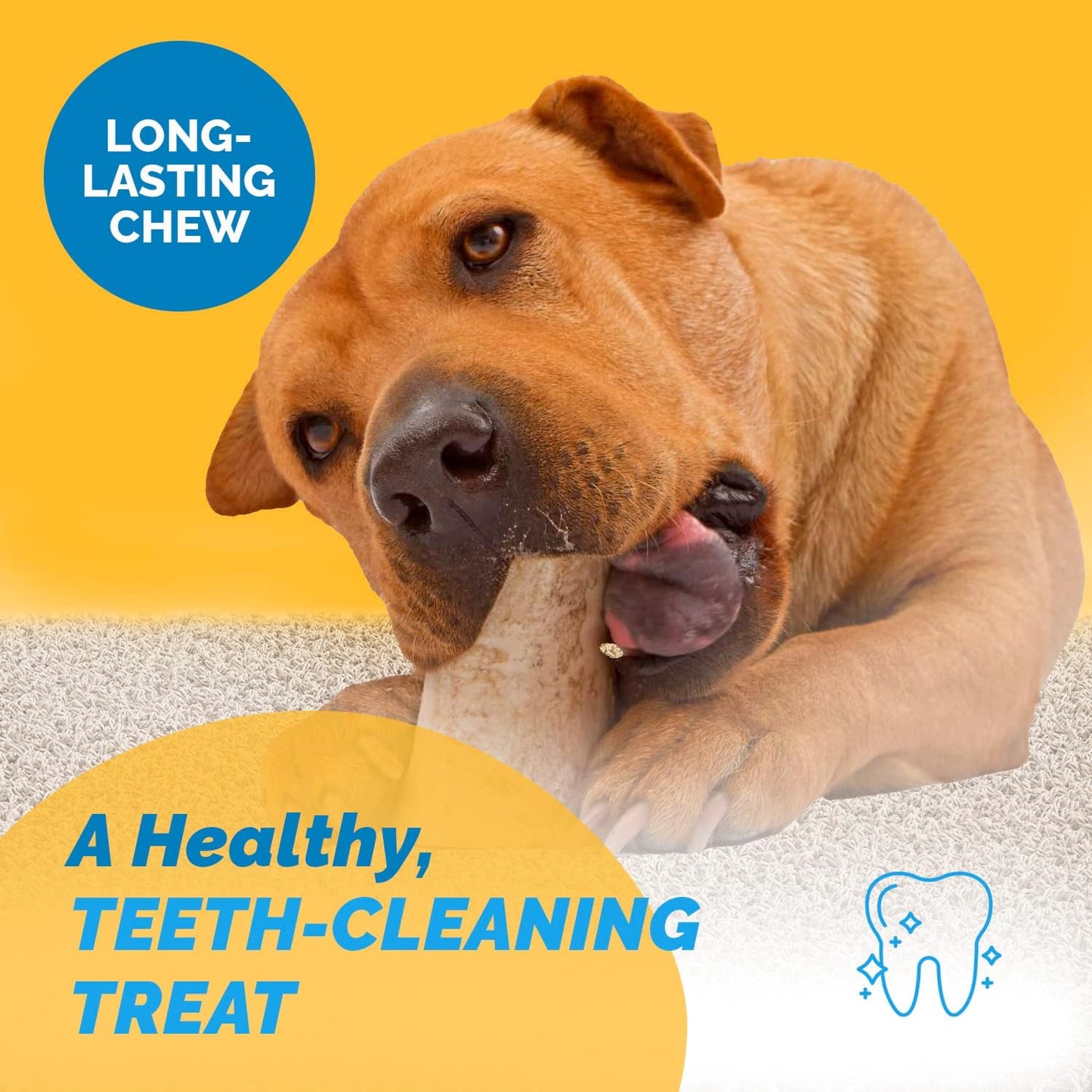 123 Treats Marrow Bones for Dogs - 100% Natural Long Lasting for Aggressive Chewers, Easily Digestible Bone Marrow Dog Treats for Healthy Snacking | (3-4 Inches, 6 Count)