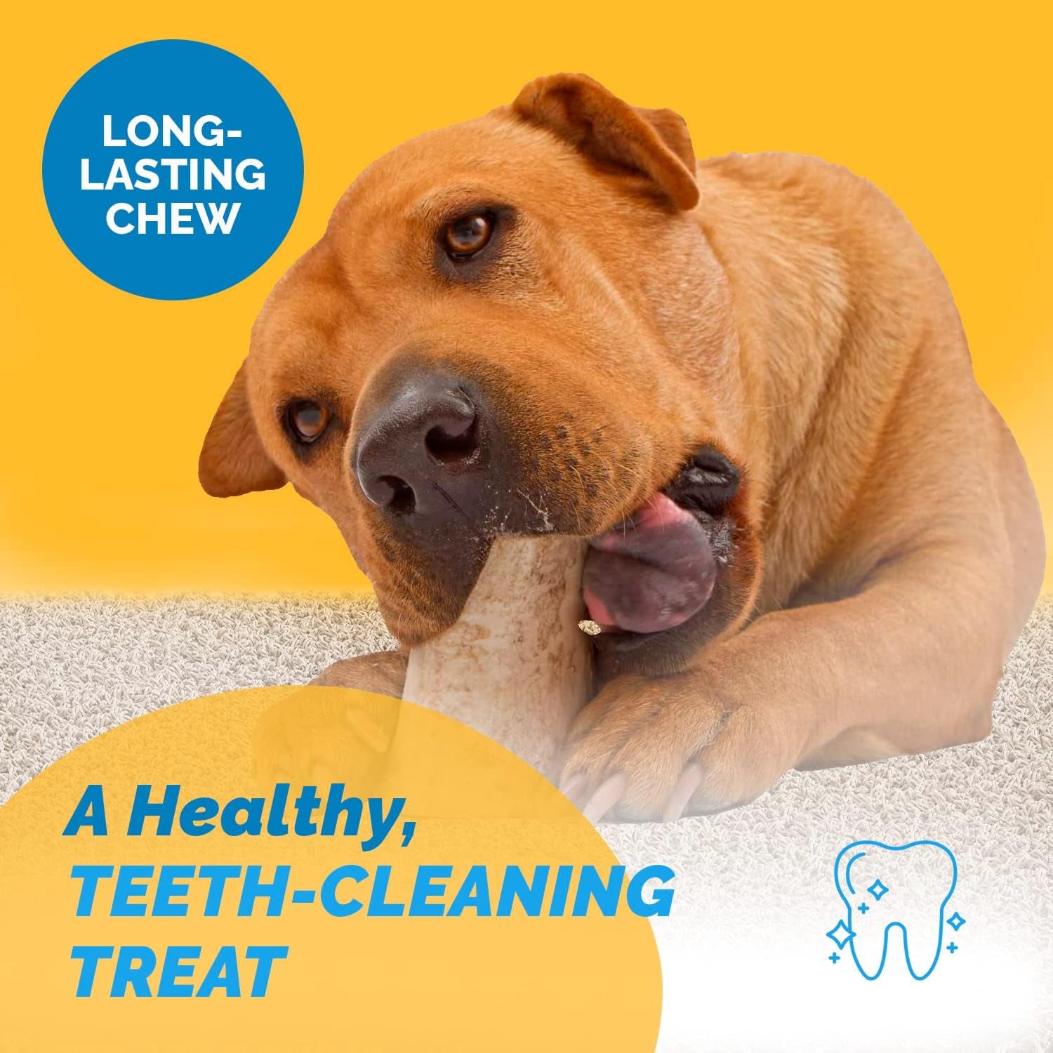 123 Treats Marrow Bones for Dogs - 100% Natural Long Lasting for Aggressive Chewers, Easily Digestible Bone Marrow Dog Treats for Healthy Snacking | (3-4 Inches, 6 Count)