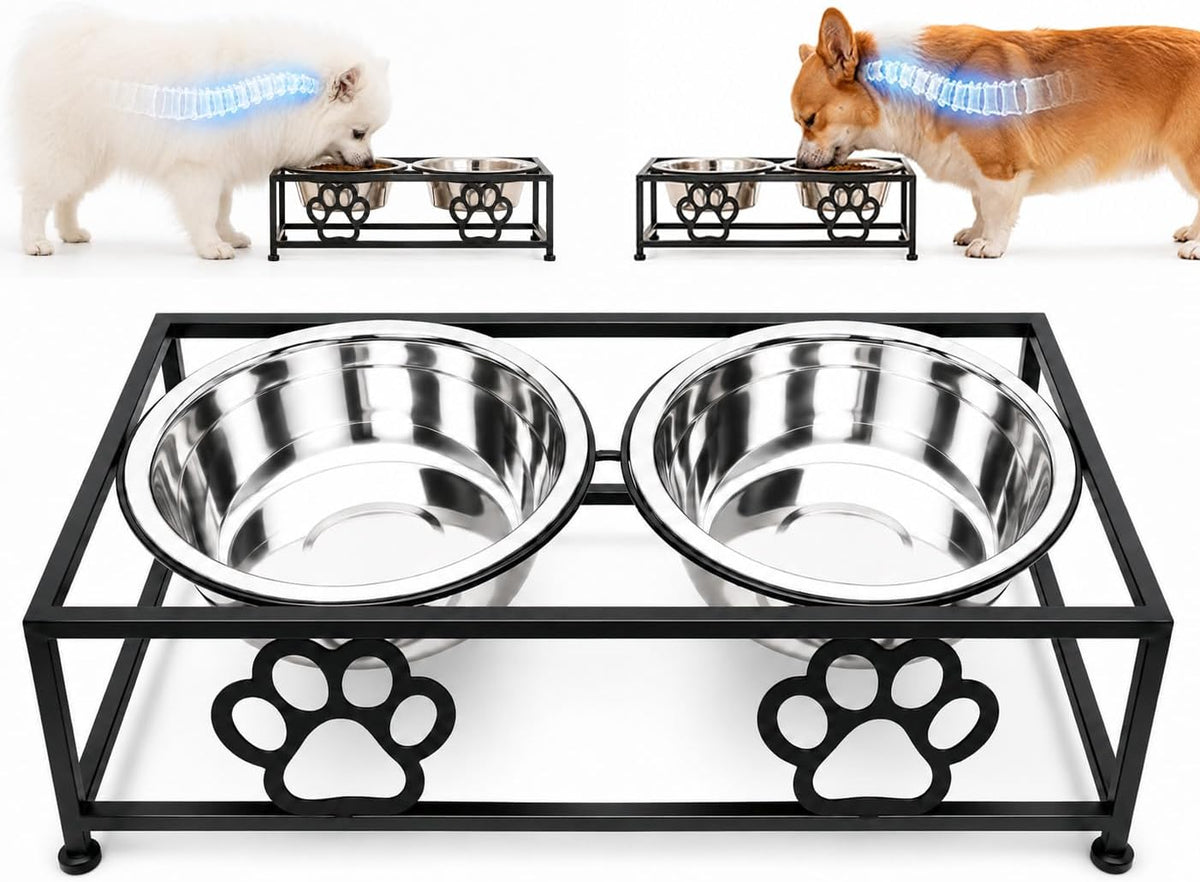 Raised Dog Bowls for Small Dogs, Elevated Bowl Stand Stainless Steel Dishes