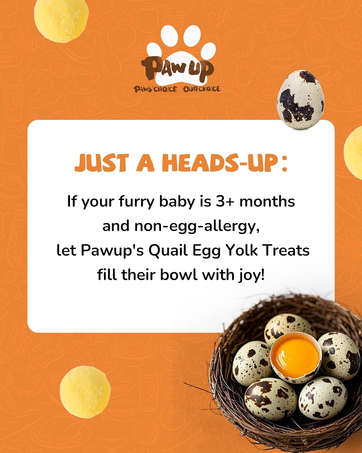 PAWUP Freeze Dried Quail Egg Yolk Pet Treats, Freeze-Dried Pet Food for Dogs, Cats, Pure Fresh Ingredient, 4.2 Oz, Rawhide Free, Gluten&Grain Free
