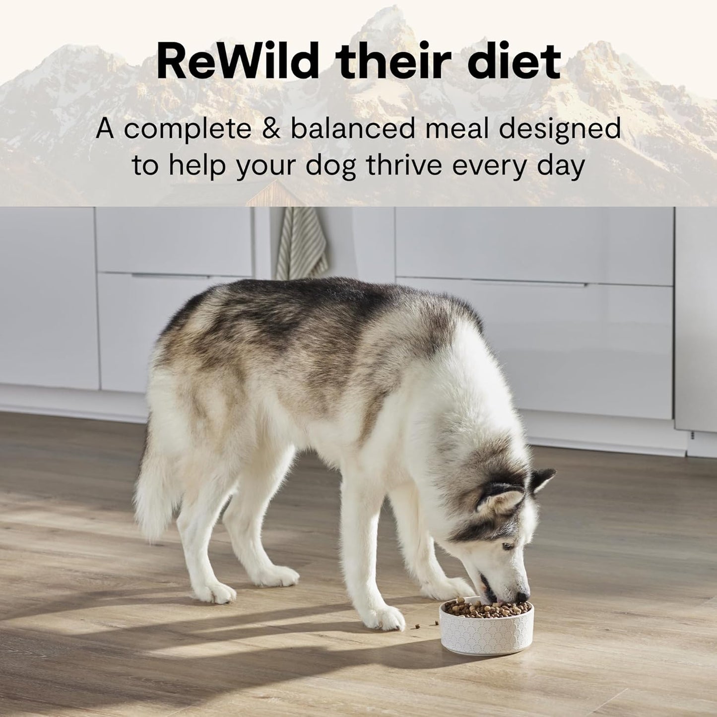 Open Farm, Rawmix Dry Dog Food with Ancient Grains, Protein-Packed Kibble Coated in Bone Broth with Freeze Dried Raw Chunks, Salmon Whitefish & Rockfish, Wild Ocean Recipe, 20Lb Bag