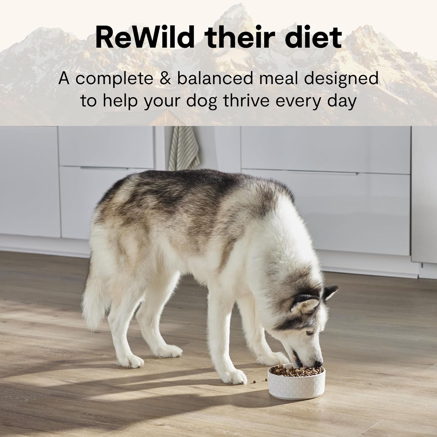 Open Farm, Rawmix Dry Dog Food with Ancient Grains, Protein-Packed Kibble Coated in Bone Broth with Freeze Dried Raw Chunks, Salmon Whitefish & Rockfish, Wild Ocean Recipe, 20Lb Bag