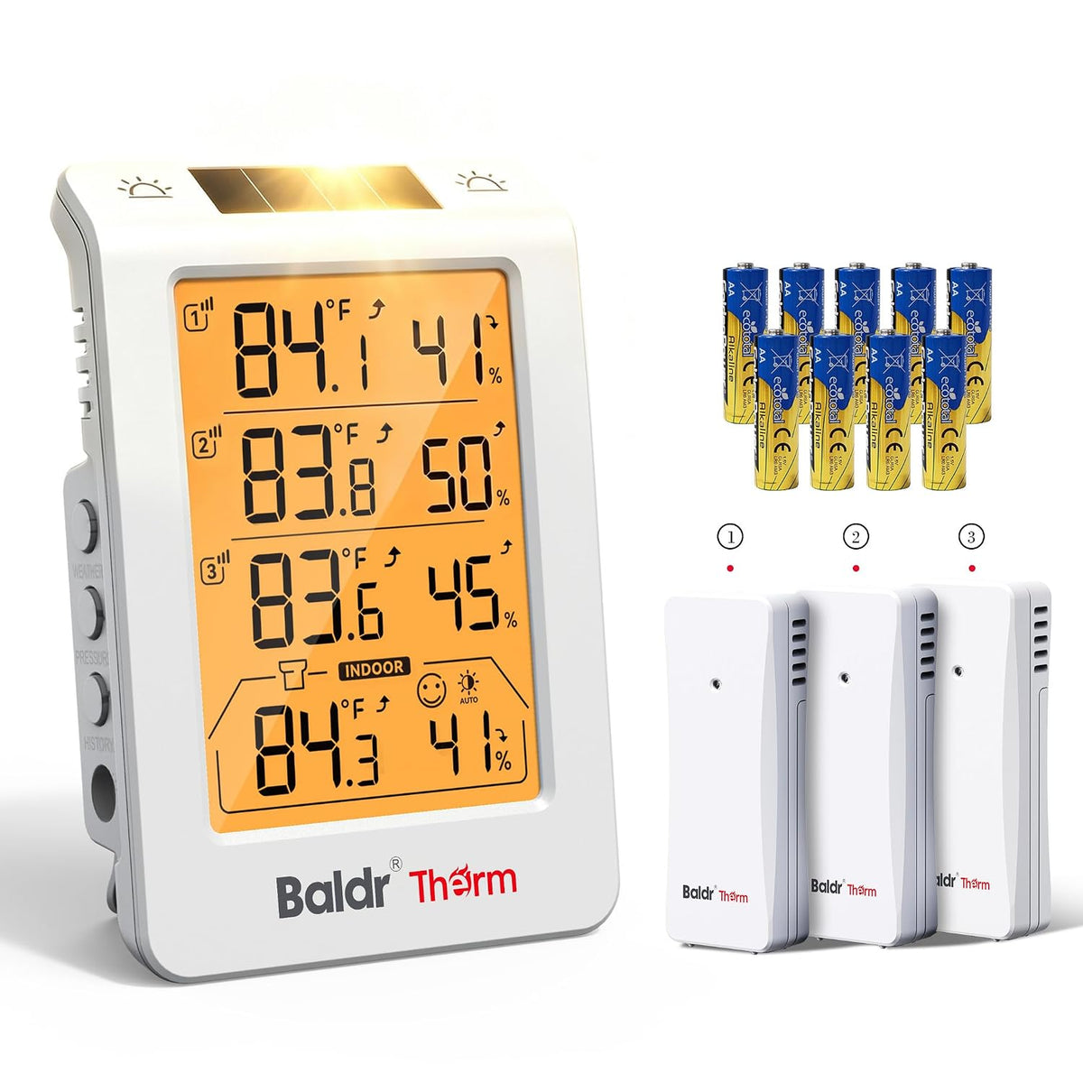 Baldr Wireless Indoor Outdoor Thermometer with 3 Remote Sensors 4.8" LCD