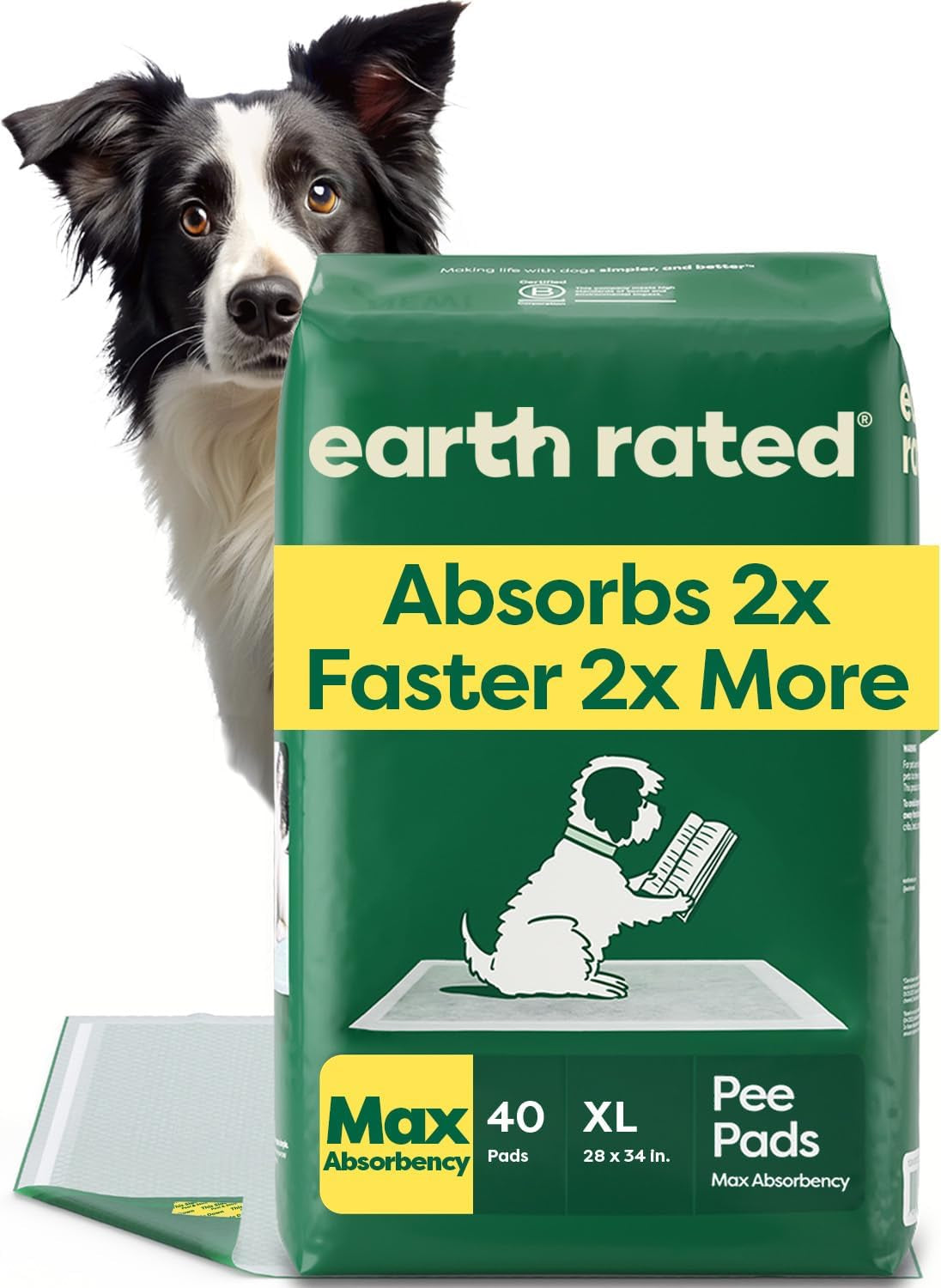 Earth Rated Puppy Pads, Max Absorbency Pee Pads for Dogs, Absorbs 2X Faster & 2X More, Leak Prevention, Potty Training, Fragrance-Free, Unscented, XL, 28” X 34”, 40 Count