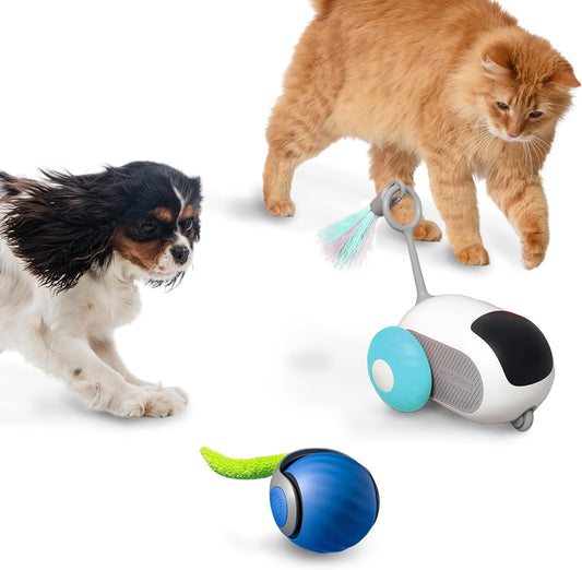 Interactive Cat Toys,Remote Control Mouse Car and Rolling Ball,Blue