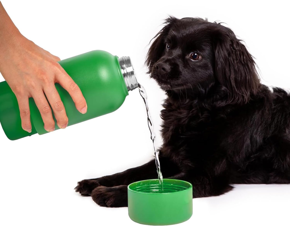 Ubbi Pup & Me Insulated Stainless Steel Dog Water Bottle, Green
