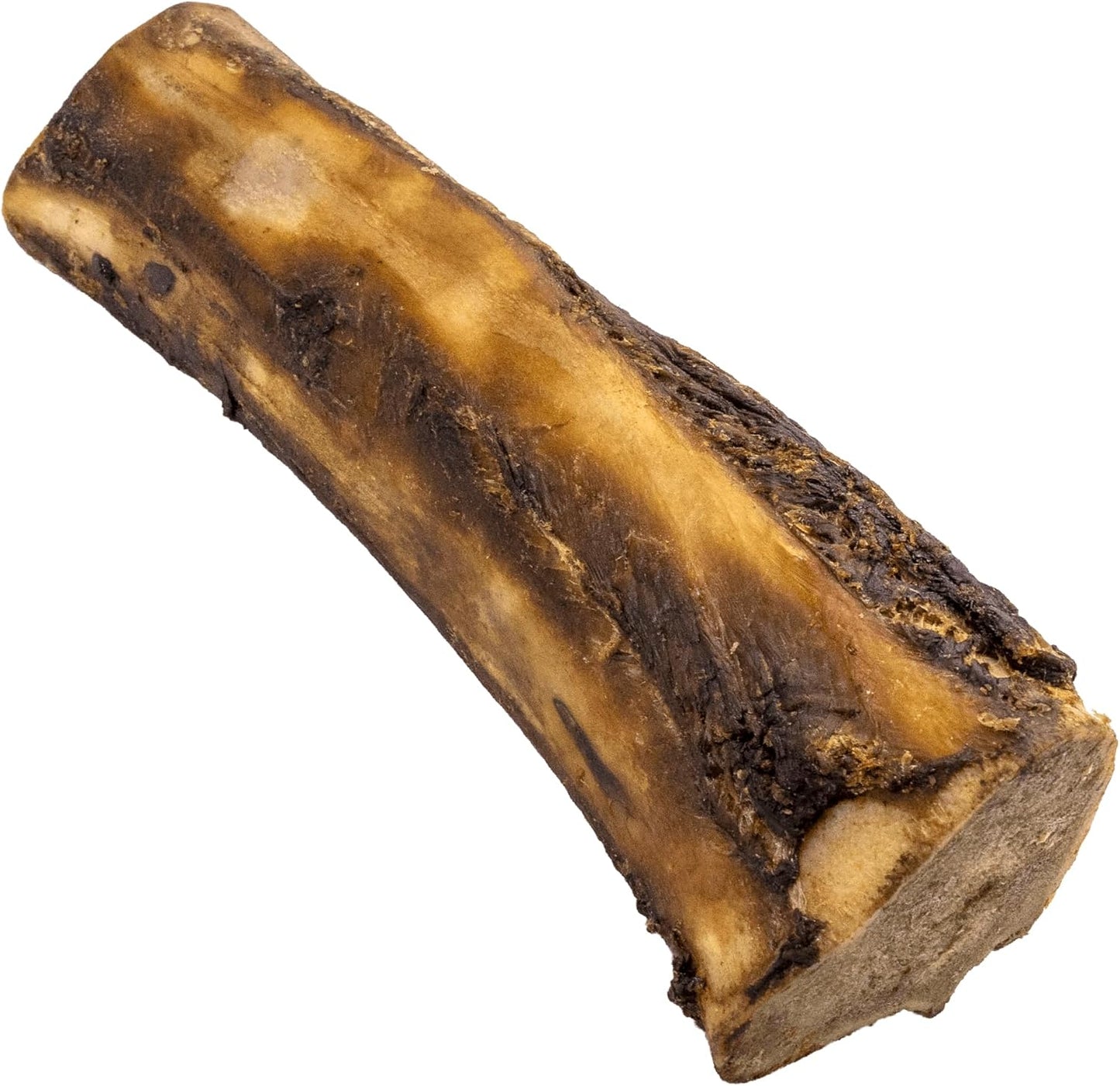 NATURE'S LOGIC Beef Hind Shank Bone - 7-8'' Long Chew - Collagen & Protein Source for Dog Dental Health & Occupation - Carnivore Appropriate Recreational Chewing & Dental Care - Large Hind Shank
