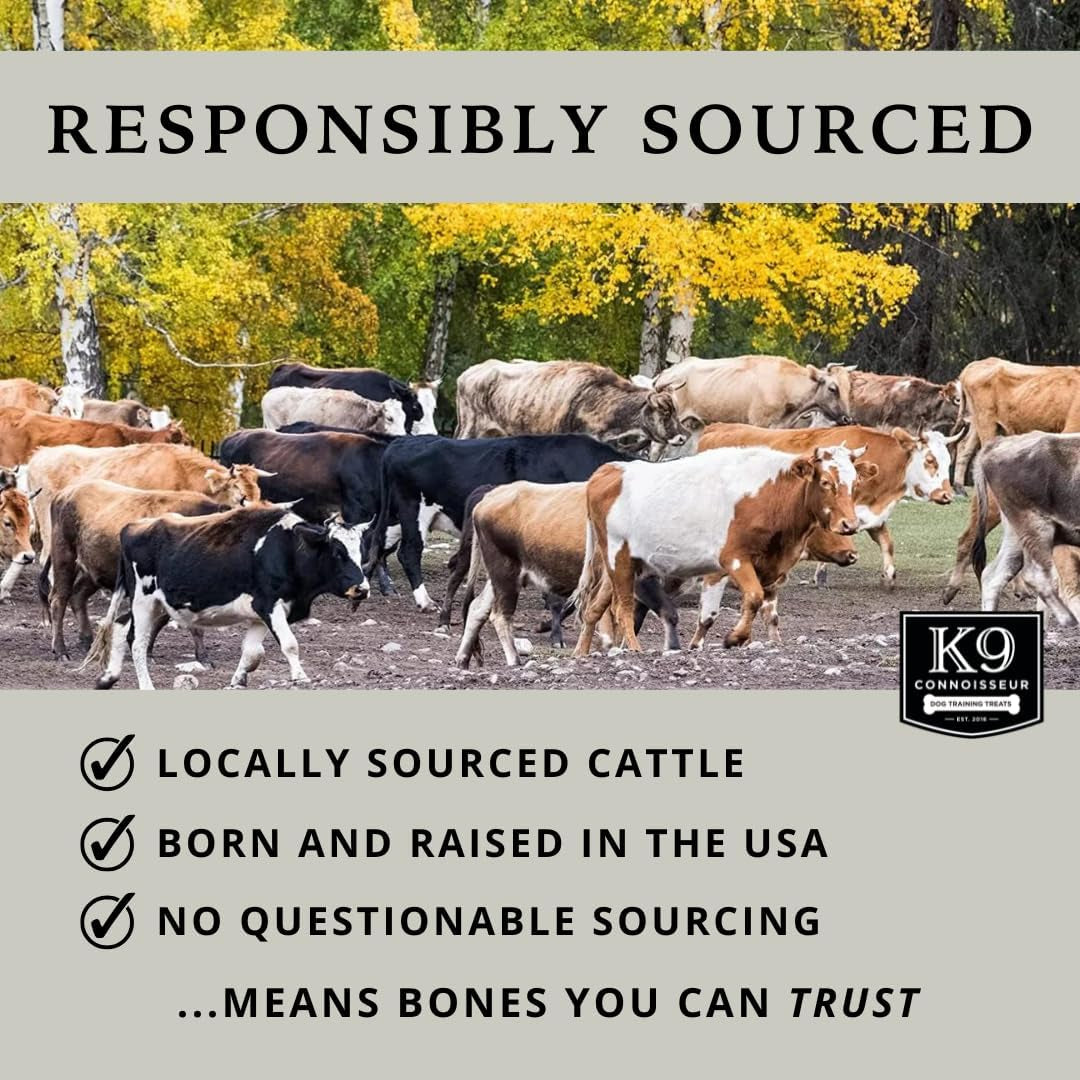 K9 Connoisseur Beef Marrow Large Dog Bones Long Lasting for Aggressive Chewers - USA Made Single Ingredient Champ Bones for Large Dogs over 50 Pounds - 10 Pack
