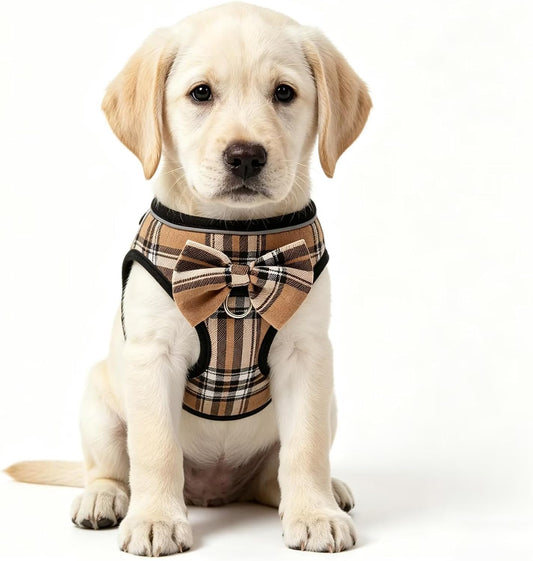 MAMORE Dog Harness No Pull Step in Puppy Vest for Dogs Cats,Breathable Soft Mesh Pet Harness with Reflective Strips 2 Leash Clips for Easy Control Walking (Khaki, X-Small)