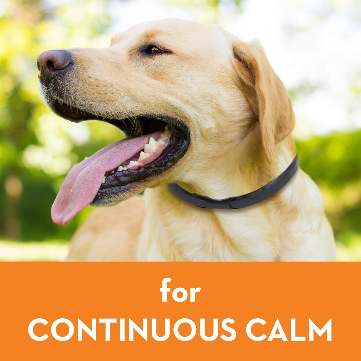 Thunderease Calming anti Anxiety Pheromone Collar for Dogs (Large)
