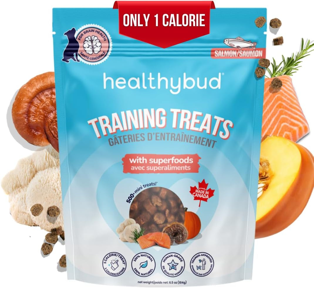 Healthybud Mini Salmon Dog Training Treats – Soft Low Calorie Bites (1 Kcal Each) – 500+ Tiny Rewards for Puppies & Small Dogs – Salmon Oil, Lion’S Mane & Reishi – Grain Free – Made in Canada – 6.5 Oz