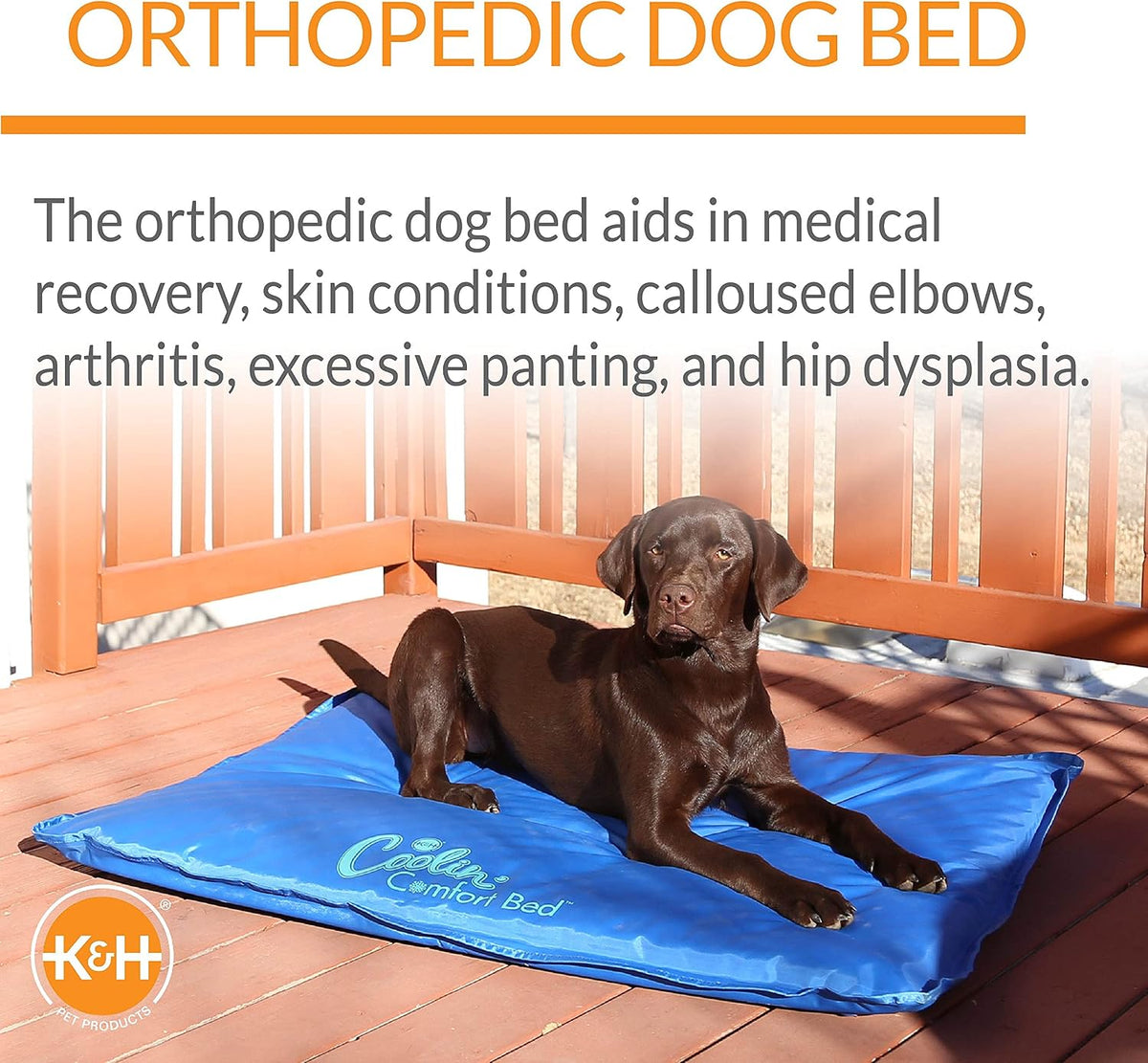 K&H Dog Cooling Mat, Coolin' Comfort Bed- Large 44X32In Chill Blue