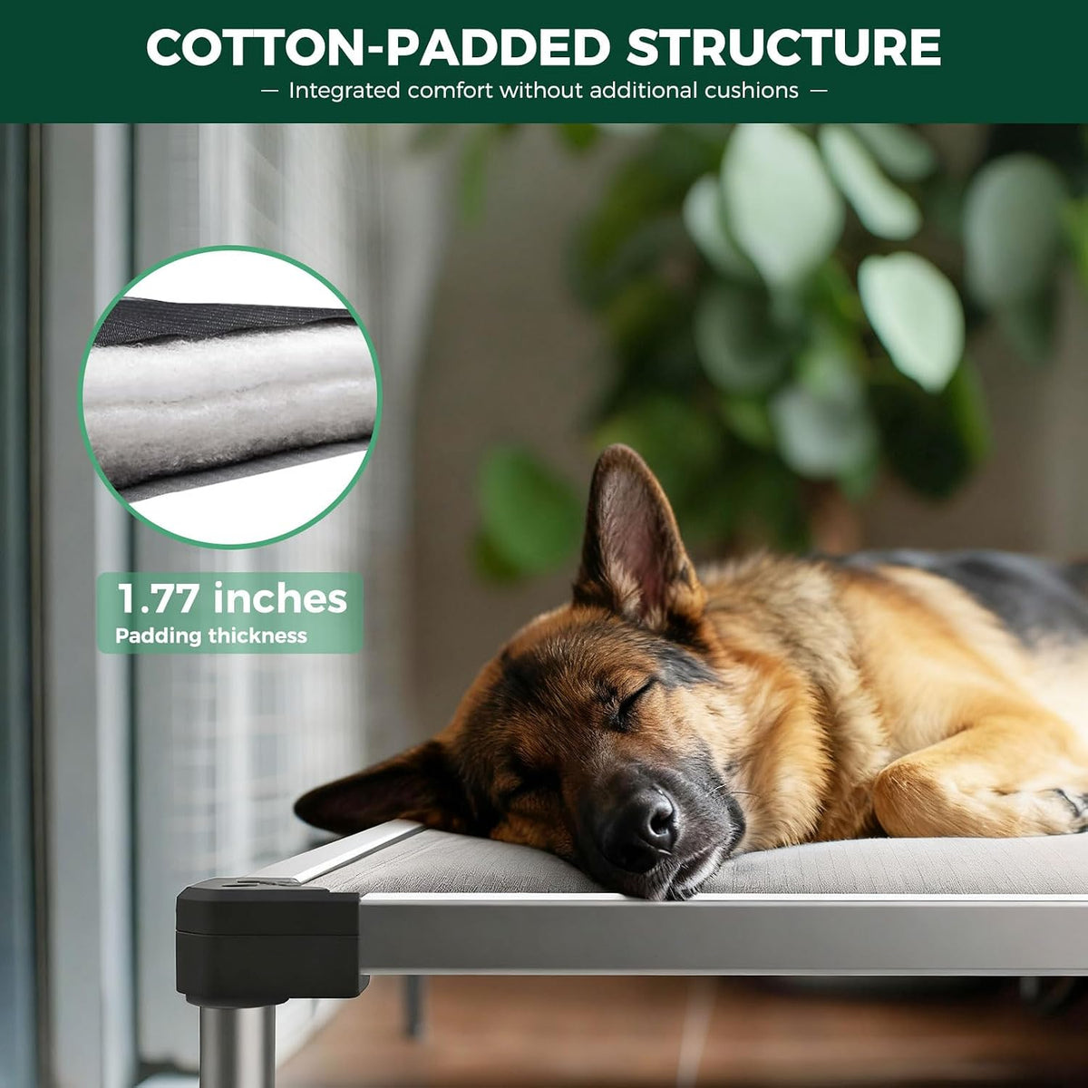 FXW Titannest Padded Chew-Proof Elevated Dog Bed for Large Dogs