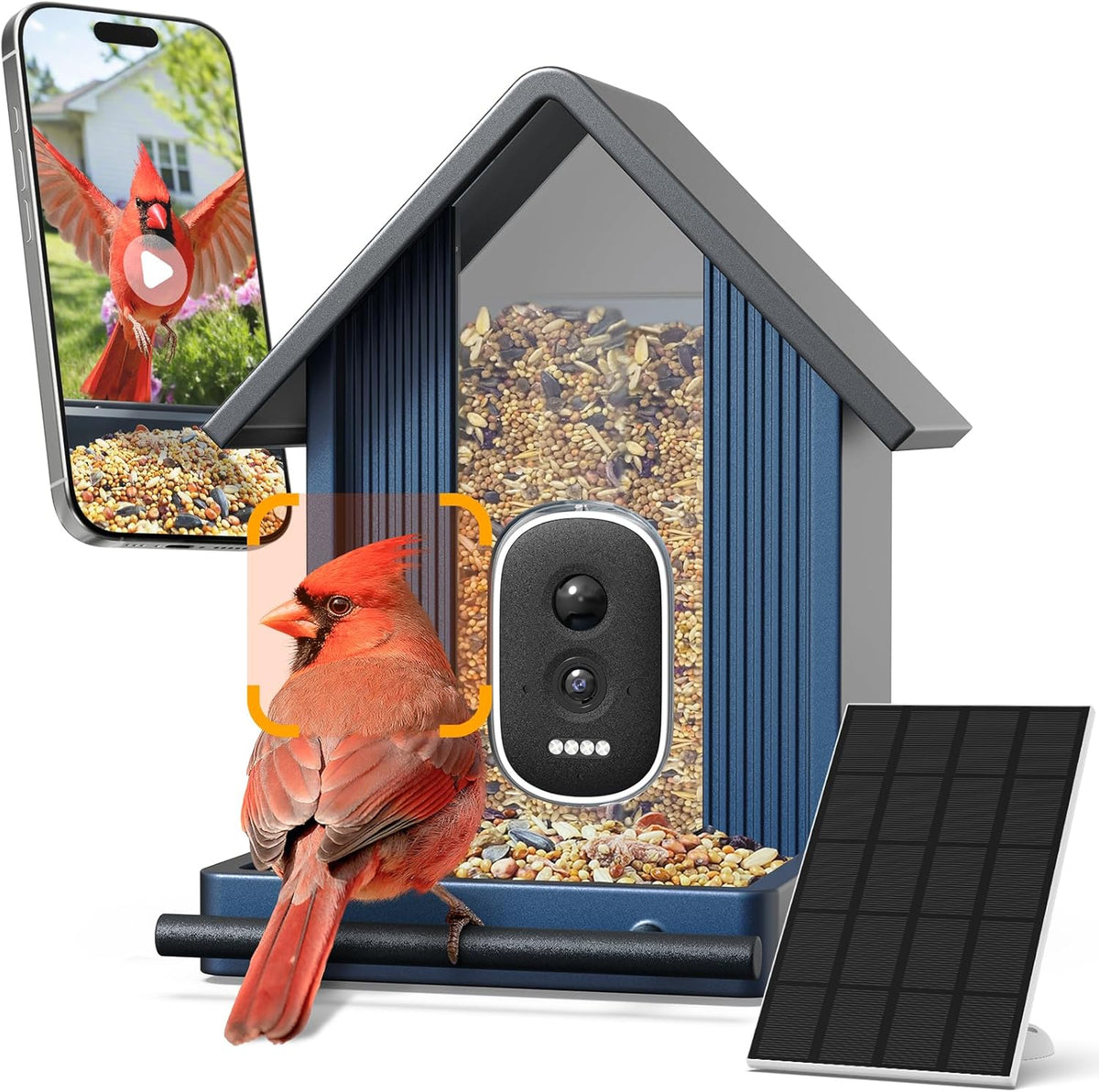 Smart Metal Bird Feeder with Camera, Deep Blue