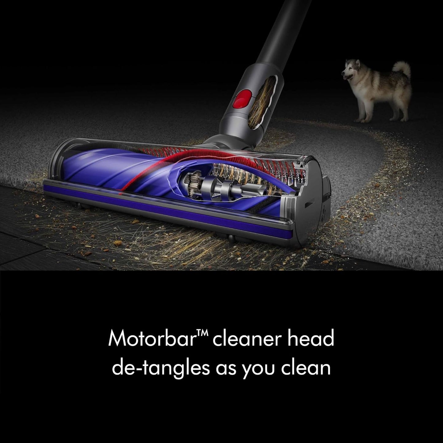 Dyson V8 plus Cordless Vacuum, Cleans Hard Floors and Carpets, Detangles, Converts to Handheld, 115AW, 2 Power Modes, up to 40 Minutes¹
