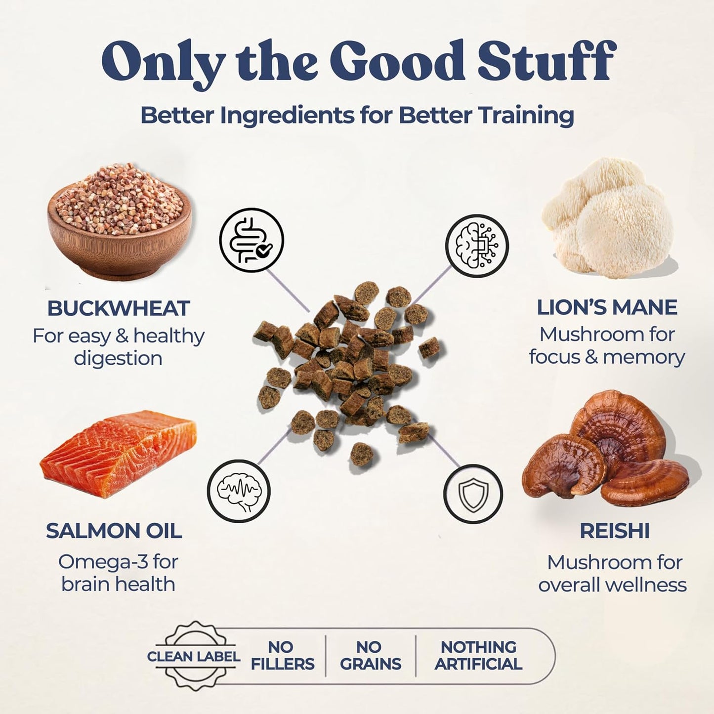 Healthybud Mini Salmon Dog Training Treats – Soft Low Calorie Bites (1 Kcal Each) – 500+ Tiny Rewards for Puppies & Small Dogs – Salmon Oil, Lion’S Mane & Reishi – Grain Free – Made in Canada – 6.5 Oz