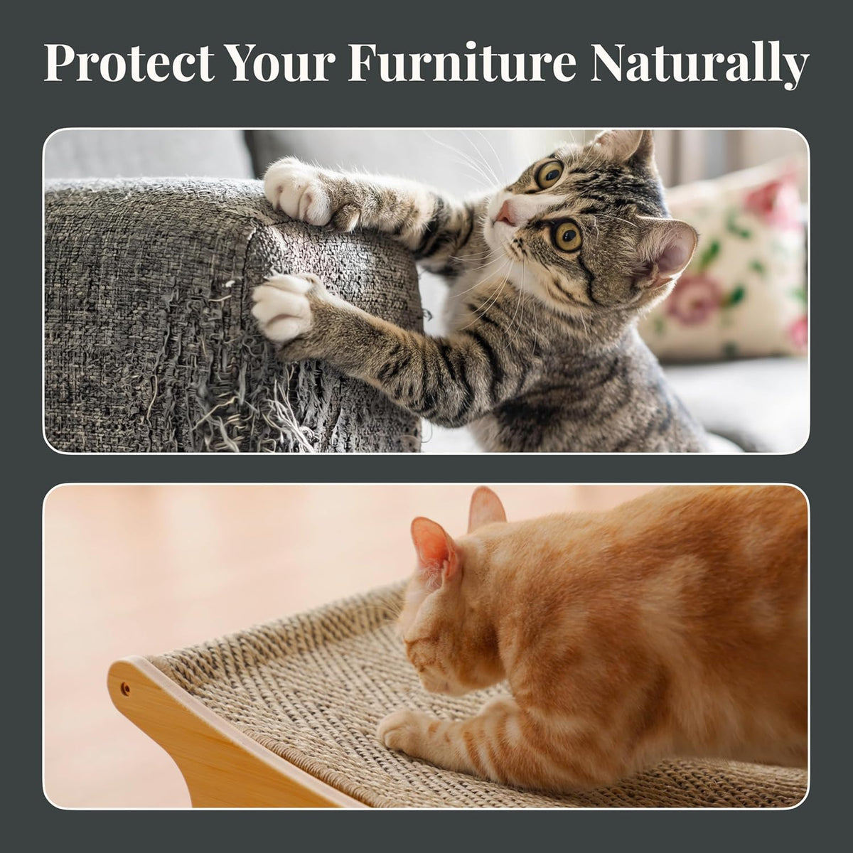 XL Sisal Cat Scratcher Bed with Elevated Hammock for Indoor Cats, Replaceable Natural Sisal Pad, Large Cat Lounge, Anti-Slip No-Wobble Bamboo Frame, Natural Grey