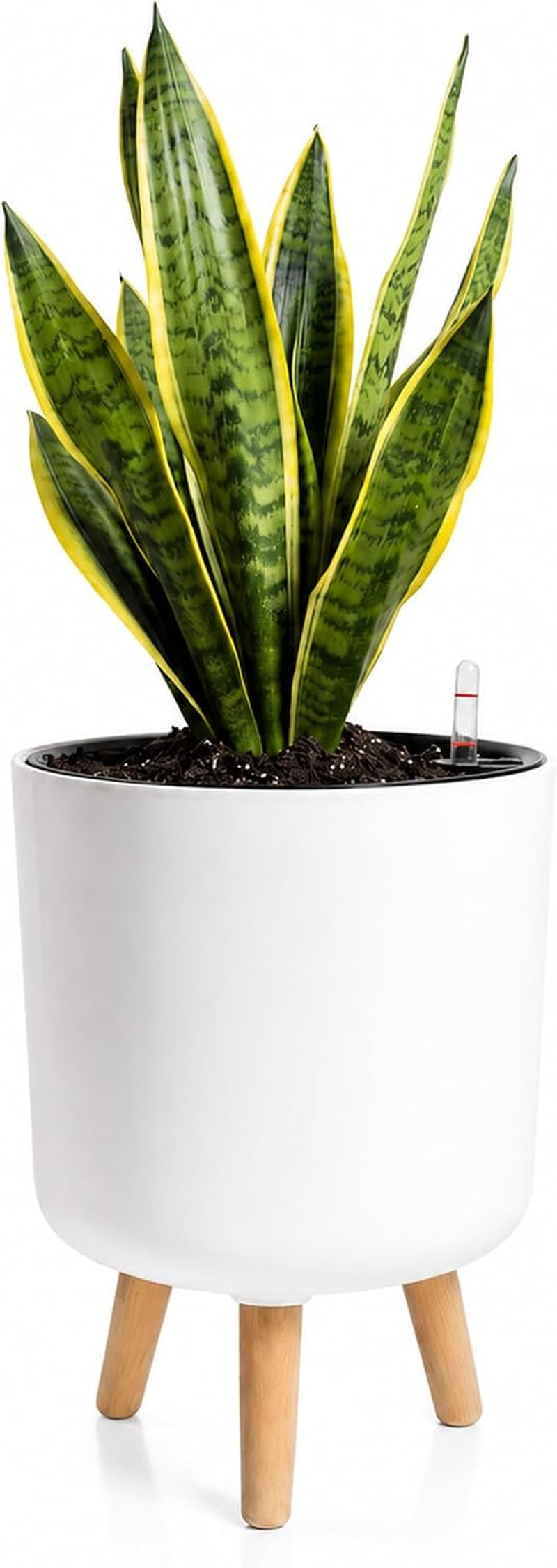 Bamworld Self Watering Pots for Indoor Plants with Water Level Indicator