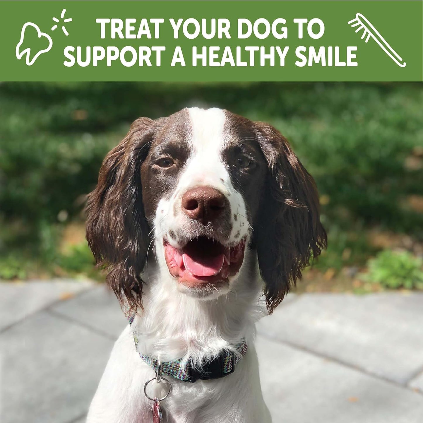 Wellness WHIMZEES Puppy Natural Dog Dental Treat, Chews, Freshens Breath, Extra-Small/Small Size, 7.9 Oz Bag, 30 Count