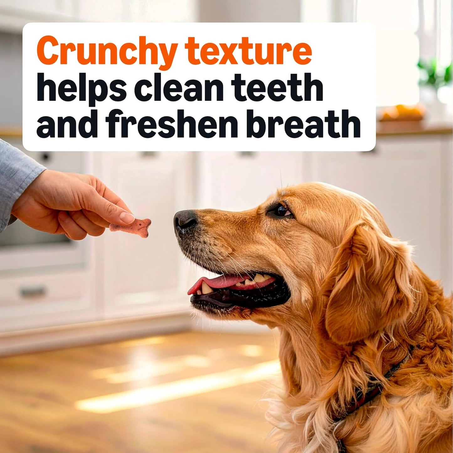 Amazon Basics Crunchy Dog Biscuits Multi Flavor Dog Treats 5 Lb. Box