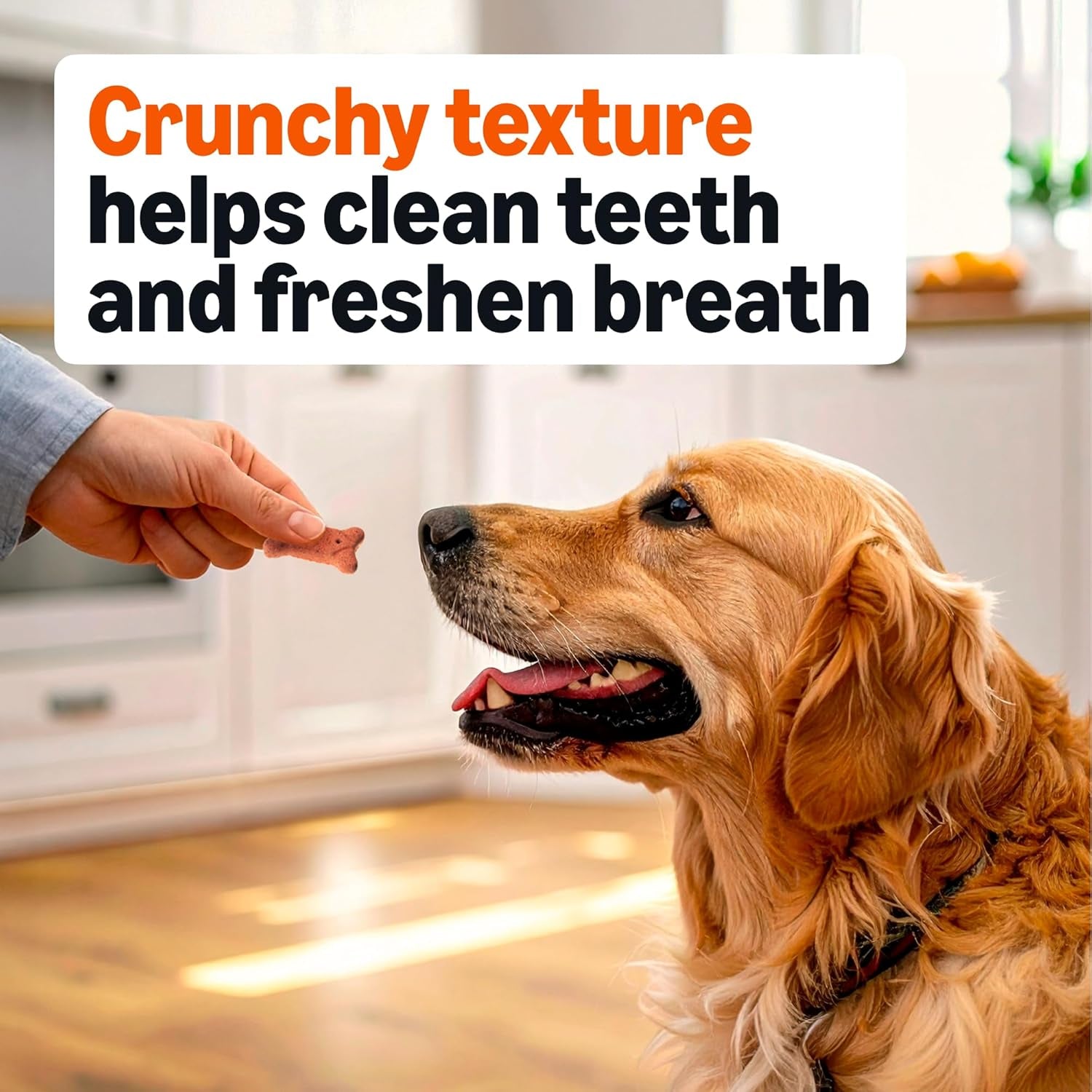 Amazon Basics Crunchy Dog Biscuits Multi Flavor Dog Treats 5 Lb. Box