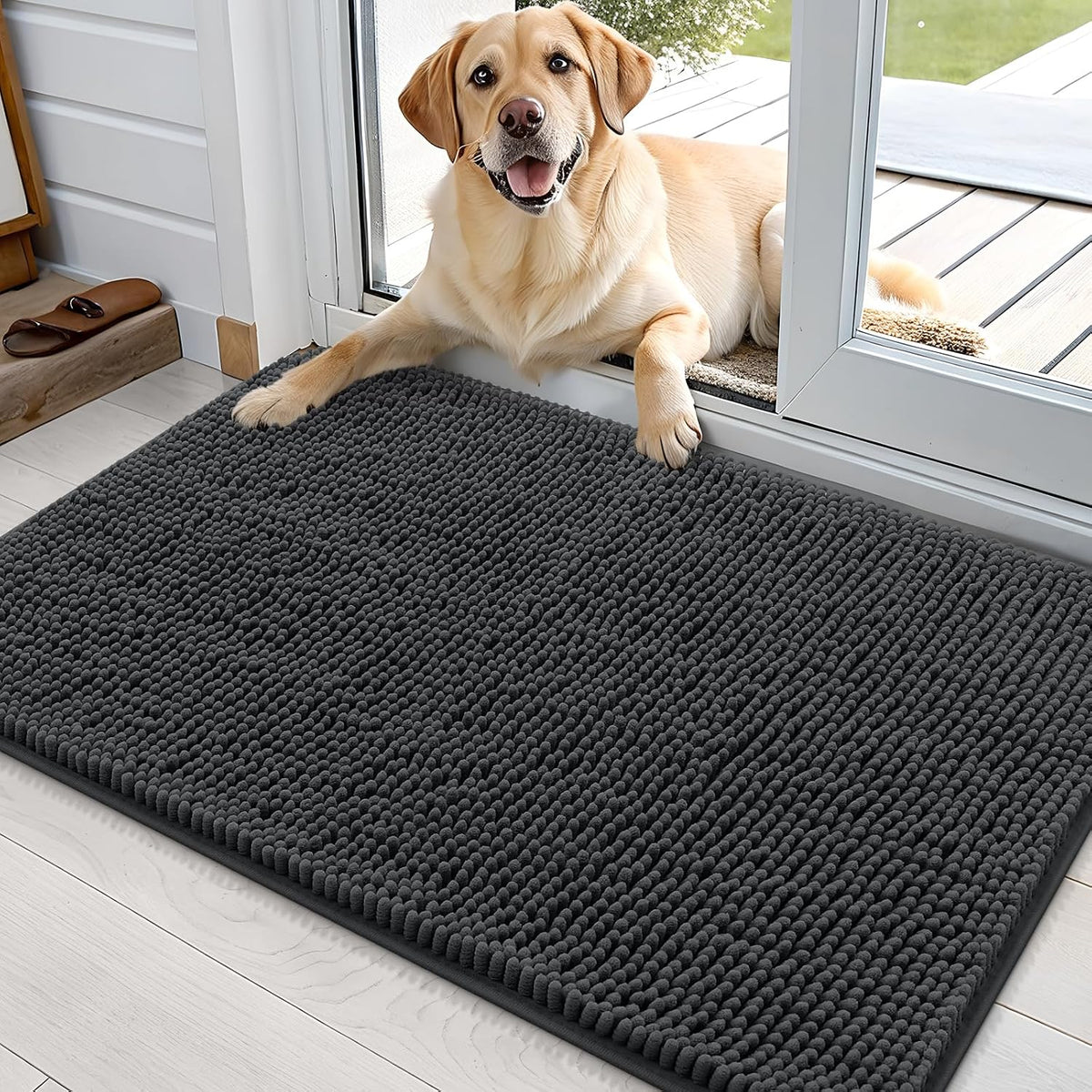 OLANLY Dog Door Mat for Muddy Paws 36X24, Super Absorbent Chenille Mud Mat