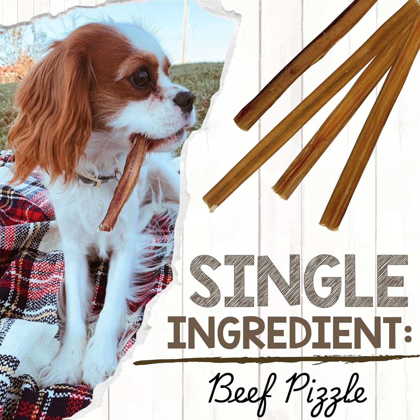 Nature Gnaws Extra Thin Bully Sticks for Small Dogs 5-6" (10 Count) - Long Lasting for Light Chewers and Puppies - Natural Beef Dog Chew Bones