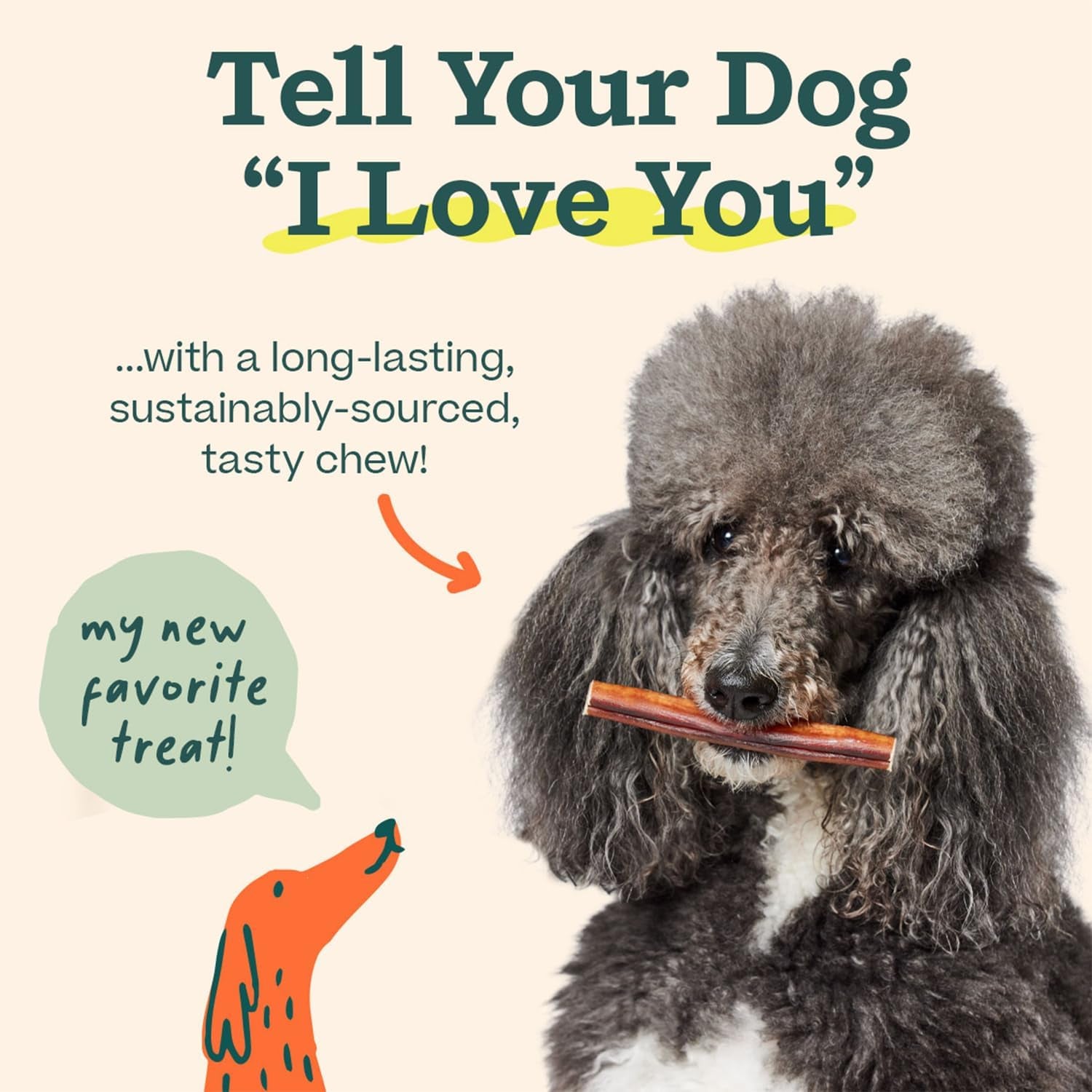 WOOF Bully Sticks Dog Treats - Chew Sticks for Dogs - Long-Lasting Dog Chew Treats - Made with Free-Range, Grass-Fed Beef - 6" Sticks - 10Pk