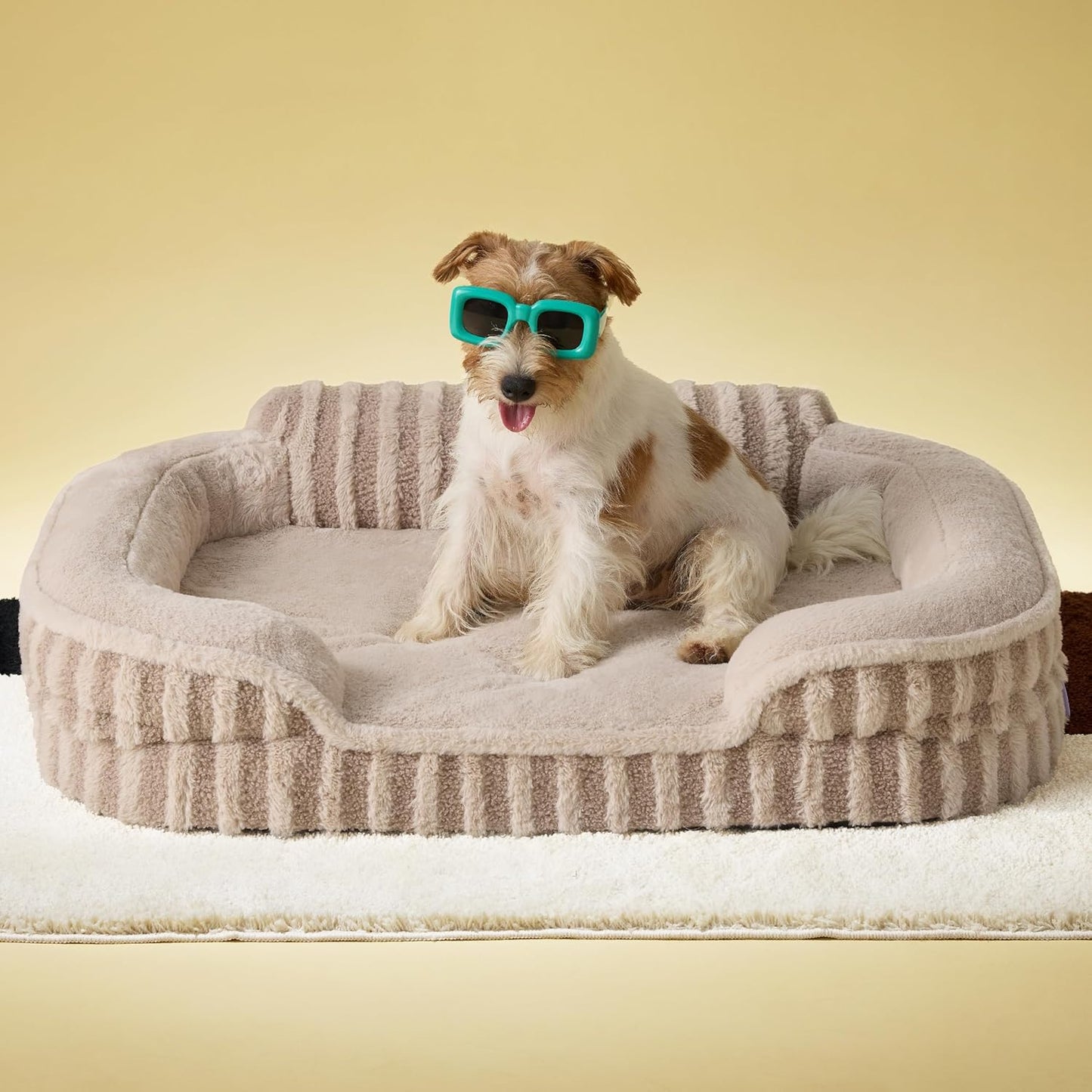 Cute Dog Bed Medium Size Dog, Orthopedic Waterproof Medium Pet Beds with Sides, High Back Non-Slip Bottom and Egg-Crate Foam Pet Couch Sofa with Washable Removable Cover, Hazel
