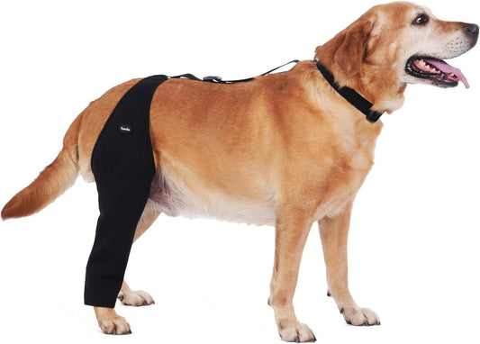Dog Recovery Sleeve Back Leg Breathable Material,Dog Leg Sleeve to Stop Licking and Biting Firm and Secure, Adjustable Size, Comfortable Alternative to Cone Collars (Large, Single Leg)