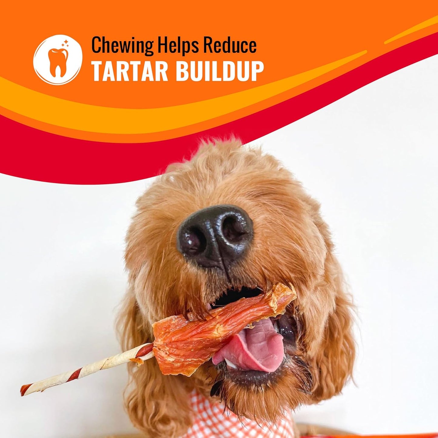 Good ‘N’ Fun Triple Flavor Ribs Chews for All Dogs, Treat Your Dog to Long-Lasting Chews Made with Beef Hide, Chicken and Pork Hide, 12 Oz