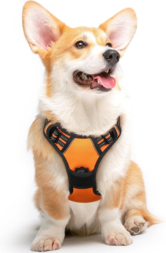 Eagloo Dog Harness for Medium Sized Dogs, No Pull Vest with 2 Leash Clips