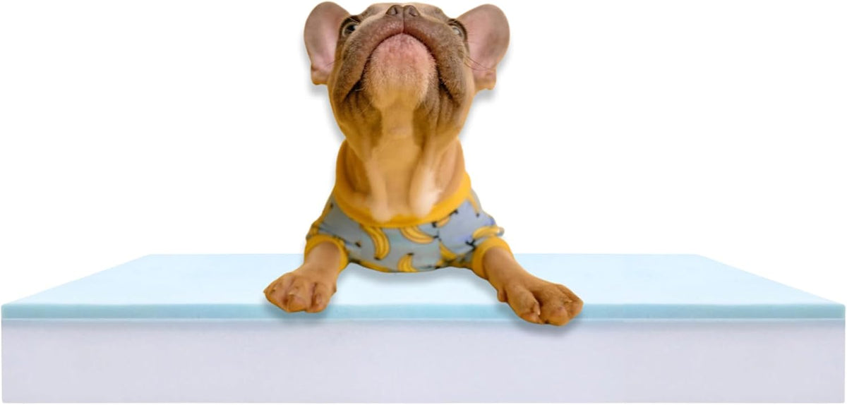 Pet Bed Foam Insert/Dog Bed Pad (3"X26"X34")