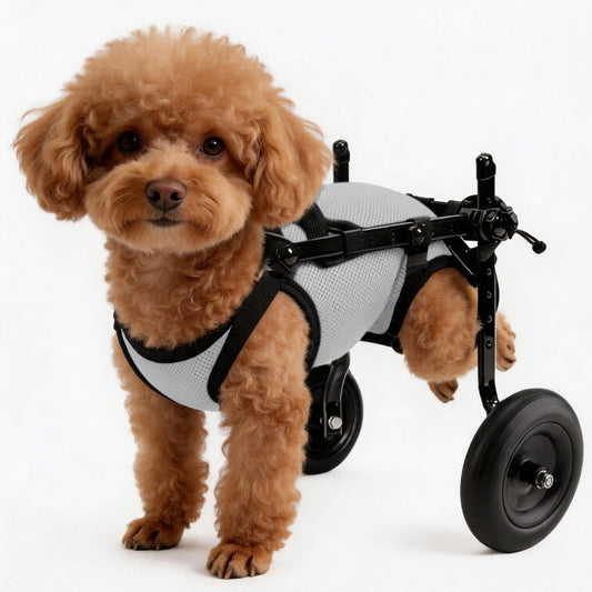 Rear Wheels Mobility Aid Cart Dog Wheelchair for Back Legs, S, Grey