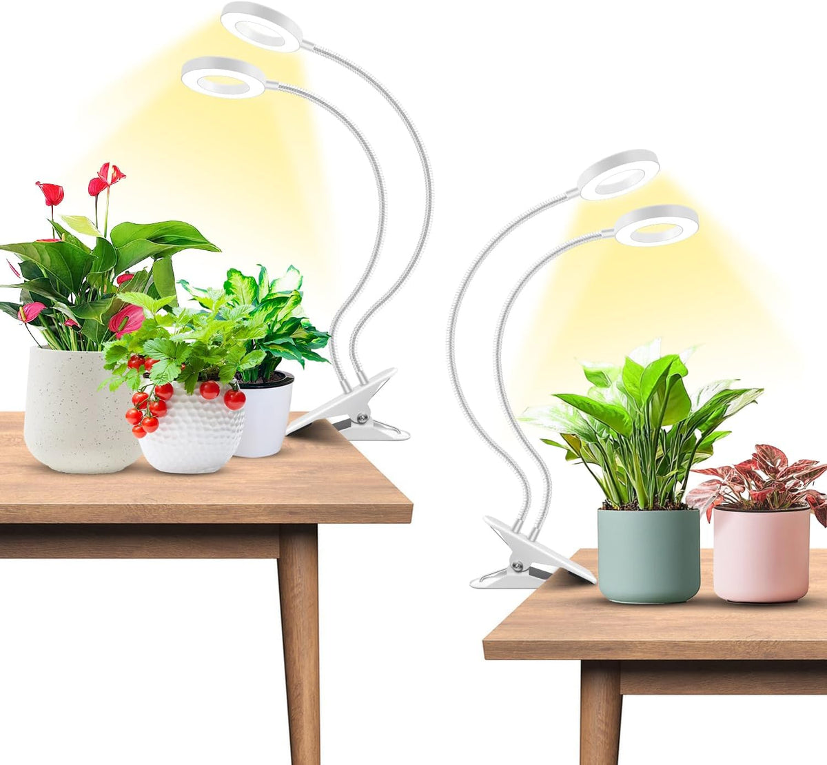 Wiaxulay Plant Grow Light Indoor Growing, 3.5In Clip Full Spectrum 2 Pack